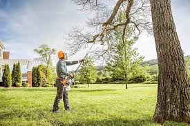 Leaf Removal in Whitesboro, TX